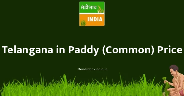 Paddy (Common) भाव